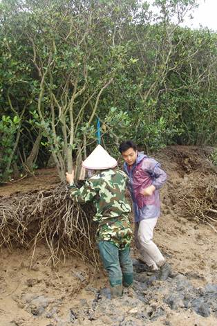 说明:J:\团学小微宣传\2015年5月红树林生态调查和北部湾海岸带生物调查.JPG